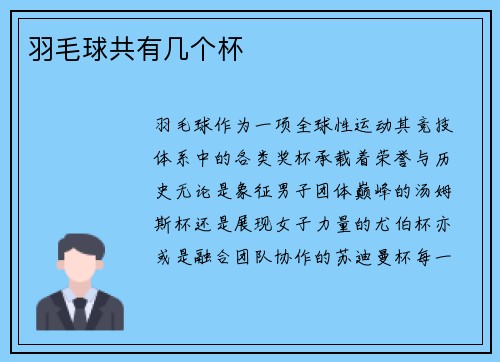 羽毛球共有几个杯