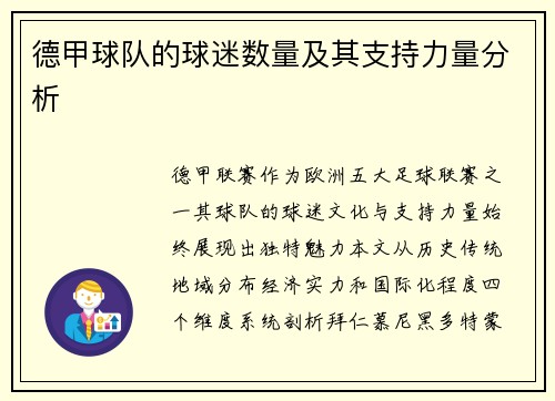 德甲球队的球迷数量及其支持力量分析